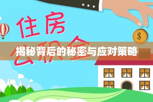 石阡揭秘背后的秘密与应对策略